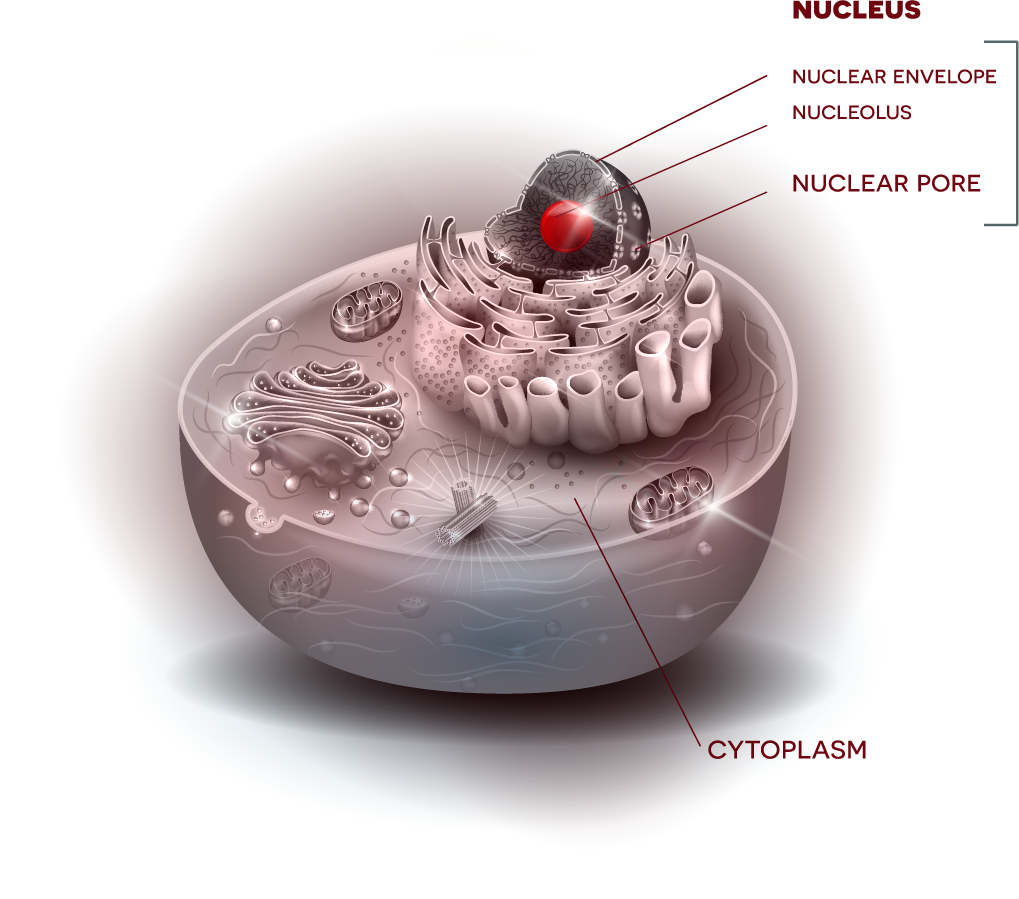 Connecting the Dots & Anne Ryan Institute for Neuroscience